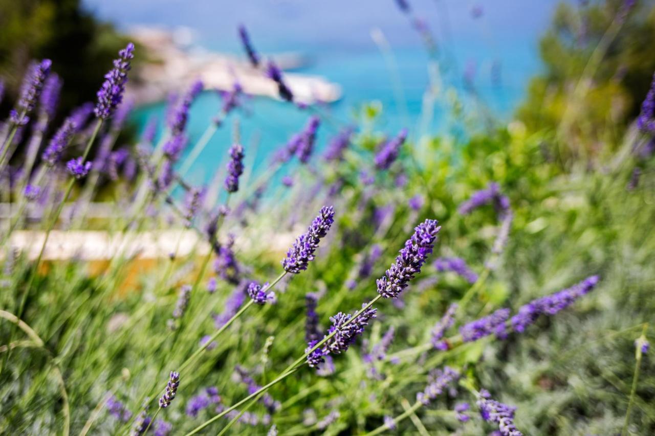 Blue Bay Residence Hvar Town Exteriér fotografie