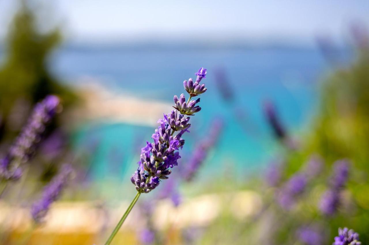 Blue Bay Residence Hvar Town Exteriér fotografie